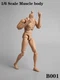 ZYTOYS ZY-B001 1/6 Male Action Figure Body 12" Narrow Shoulder Muscle Doll Model