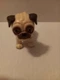 Zuru Pets Alive Booty Shakin Pups Adoption Pug Interactive Dog #9530 Moves 