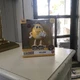 Jada M&M's Yellow Character 3" Die Cast Figure Metalfigs Collectible M&M New