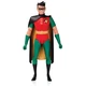 DC Collectibles Batman: The Animated Series: Robin Action Figure