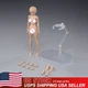 USA 86TOYS 1/12 T86-ST02-B Suntan Skin Mid Bust 6" Female Action Figure Body Toy