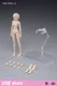 US 86TOYS 1/12 T86-ST01-A Pale Skin Small Bust 6" Female Action Figure Head Body