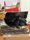 Spin Master How To Train Your Dragon Tame & Train Toothless - 6072728 - Black