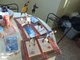 NBA LOOSE MCFARLANE: ERVING, SHAQ, MARAVICH, JAMES, MONROE, RANDOLPH, ROBINSON