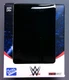 WWE Action Vinyls Action Figures BLACK WINDOW BLIND BOX - Loyal Subjects 2018