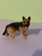 Collectible Schleich German Shepherd model 16831 Farm World collection Figure