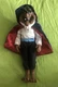 Disney Store The Beast Classic Doll &ndash; Beauty and the Beast &ndash; 12&rsquo;&rsquo; Disney parks