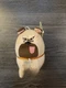 MEL Pug Dog Plush Secret Life of Pets Stuffed Toy Factory New with Tags 2017