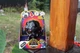 Star Wars FORCE N TELLING VADER Disney Fortune Telling Darth Vader