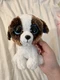 TY Beanie Boos - DUKE St. Bernard Dog (6 Inch) Plush Stuffed Toy Animal MWMTs