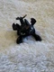 How to Train Your Dragon 2013 Small Figure Toothless 1.25" Spin Master