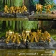DR.WU Golden Lagoon MINI Action Figure DW-E03 E04 E09 E22 E10 E13 E36G 5cm Robot