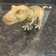 Jurassic World Camp Cretaceous Epic Roarin Tyrannosaurus T-Rex 22" Long Figure!!