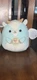 Squishmallows Domingo the Easter Goat 8” Plush Stuffed Animal Toy w/tag Squishmallows Domingo the Easter Goat 8” Plush Stuffed Animal Toy w/tag