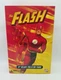 NIB The Flash DC Direct 13" Deluxe Collector Figure Poseable 1:6 Scale New