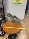 Jurassic World Dominion Super Colossal Giganotosaurus Dinosaur Action Figure 39"