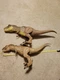 Two 2017 Mattel Jurassic World Legacy 19&rdquo; Extreme Chompin TRex 