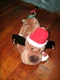 Dan Dee Christmas Holiday Jingle Bells Musical Dancing Dog Lights up Moves MWT