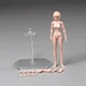 86TOYS T86-ST02-A 1/12 Pale Skin Medium Bust 6" Female Figure Head Body Dolls