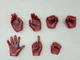 HANDS Hot Toys MMS563 Captain America 2012 Version 1/6 Avengers Endgame gloves