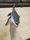 Mattel FNG24 Jurassic World Real Feel Mosasaurus 2017
