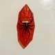 Toy Biz Spider-Woman Shield Accessory Marvel Figure Replacement Part 1996 3"