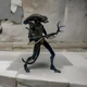  Brown Warrior Xenomorph - ALIENS Series 1 2013 NECA  7" Action Figure Toys NEW