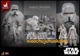 Hot Toys MMS768 Star Wars Solo: A Star Wars Story Range Trooper 1/6 Figure Toy