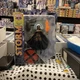 Marvel Diamond Select Storm Special Collector Edition Action Figure 7" NIB