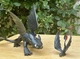 DreamWorks How to Train Your Dragon Toothless Action Figure 8&rdquo; and 2&rdquo;  Dragons.