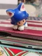 2022 JAKKS Pacific World of Nintendo 2.5 Super Mario Action Figure Cat Toad Blue