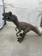 Adventure Force Allosaurus Dinosaur Figure Realistic Walmart WM84495 12&rdquo;