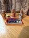 E.T Figures And Stage Pass.