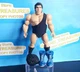 2023 MATTEL WWE SUPERSTARS 8 ANDRE THE GIANT Walmart Loose Complete wwf hof WM3