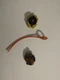 TAKARA TOMY Beyblade Burst GT B-139 Wizard Fafnir.Ratchet.Rise 閃