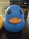 BLUE Laffy Quacks Jumbo Squishy Duck by Sunny Days, Viral XL Duckie Squeeze Toy