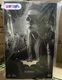 In Stock New Hot Toys MMS627 The Dark Knight Trilogy 1/6 Catwoman Action Figure