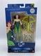 DC Comics Multiverse Poison Ivy 6&rdquo; 80Th Anniversary W Crossbow +Accessories
