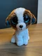 Ty Beanie Boos 6" DUKE St. Bernard Dog Plush Stuffed Animal Toy No Hang Tag