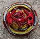 Takara Tomy Beyblade Burst B-117 Revive Phoenix Bey Toy Top