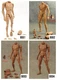 In-stock 1/6 Scale ZYTOYS Male 12in Action Figure Body Collection (W/O Neck)