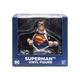 DC Comics Superman Clark Kent Bust Vinyl Figure World&rsquo;s Finest Collection NIB