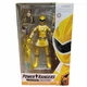 Power Rangers Lightning Collection Dino Thunder Action Figure