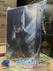 New Hot Toys MMS703 The Flash Batman 1/6 Action Figure in stock