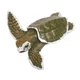 KEMPS RIDLEY BABY SEA TURTLE Animal Figurine Safari Ltd toy Incredible Creatures