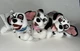 Disney Store Beanie Babies set of three 101 Dalmatians great condition with tags