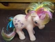 2017 Hasbro MLP My Little Pony Parasol 35th Anniversary, The Bridge Direct