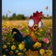 Disney Moana Squeeze and Scream HeiHei Toy 55351