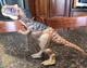 Jurassic World: Dominion Roar Strikers Rajasaurus Dinosaur Figure Dino Toy Kids
