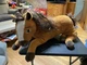 Spirit Riding Free Large 20" Spirit Horse Plush Spirit Untamed DreamWorks Plush 